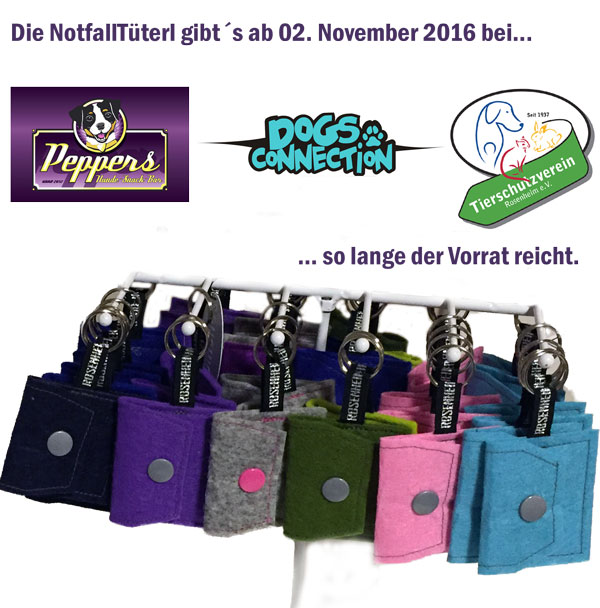 Aktionen RosenheimDogs