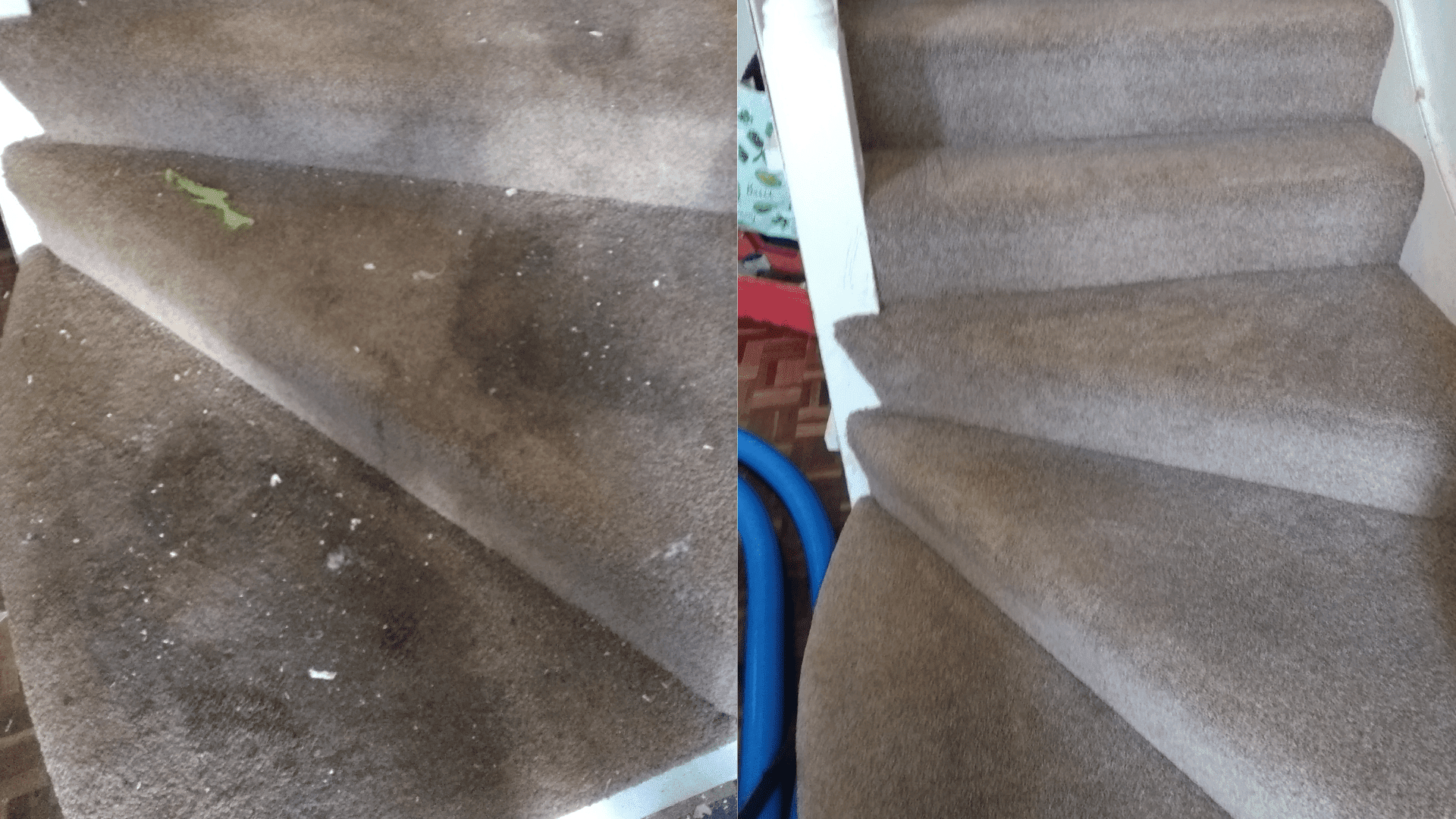 Carpet Cleaning SouthendonSea Roffey Cleaning