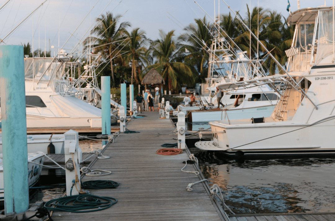 Dock Etiquette Acting Right Around Boats ROFFS™
