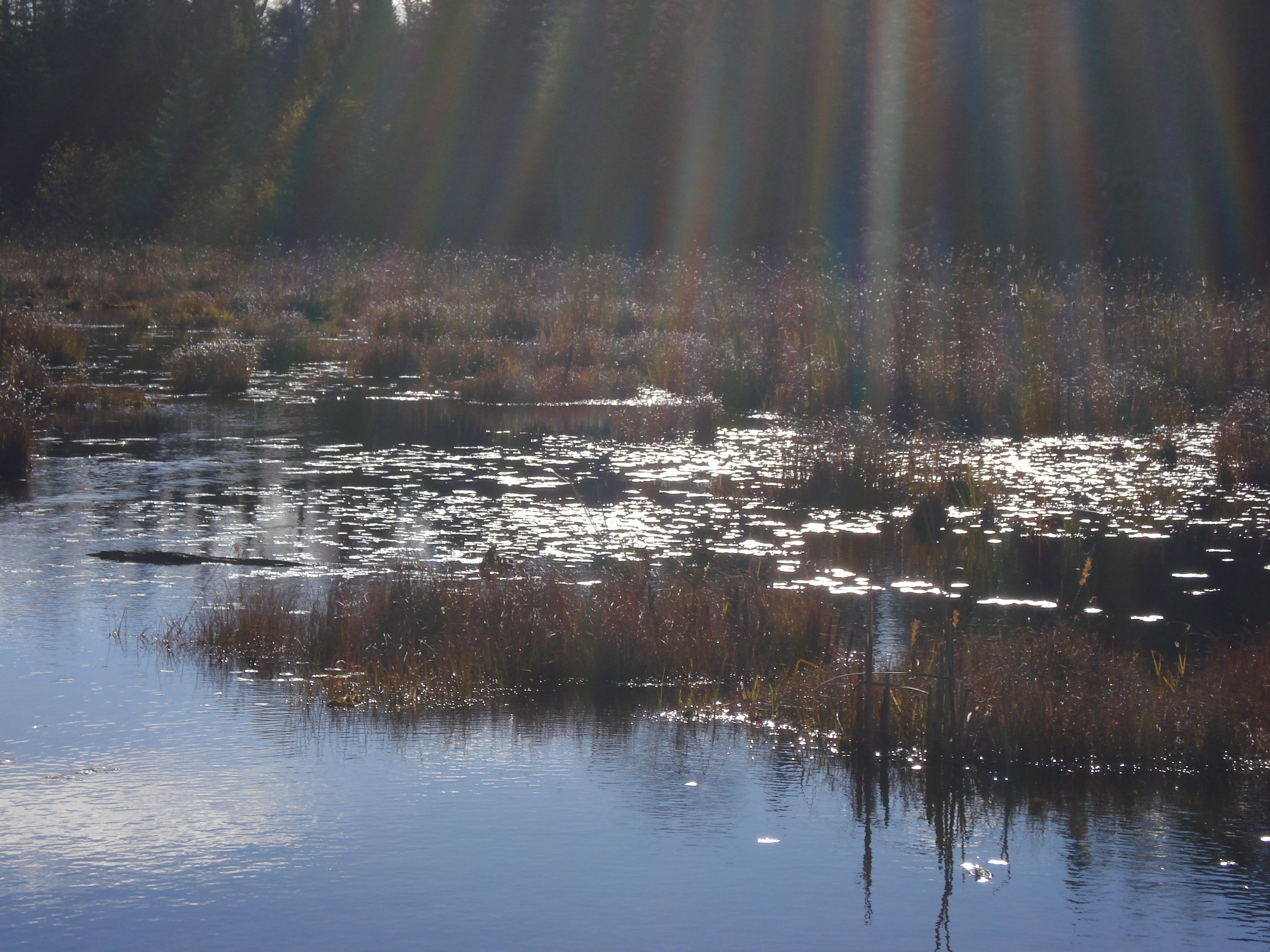 Frog Lake rogermoorepoet