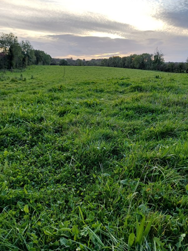 c20.5 acres of top quality farmland in Carnaross, Kells Co Meath