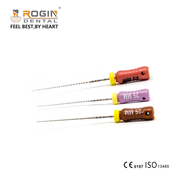 C+Files스테인리스 스틸 근관 파일 Rogindental