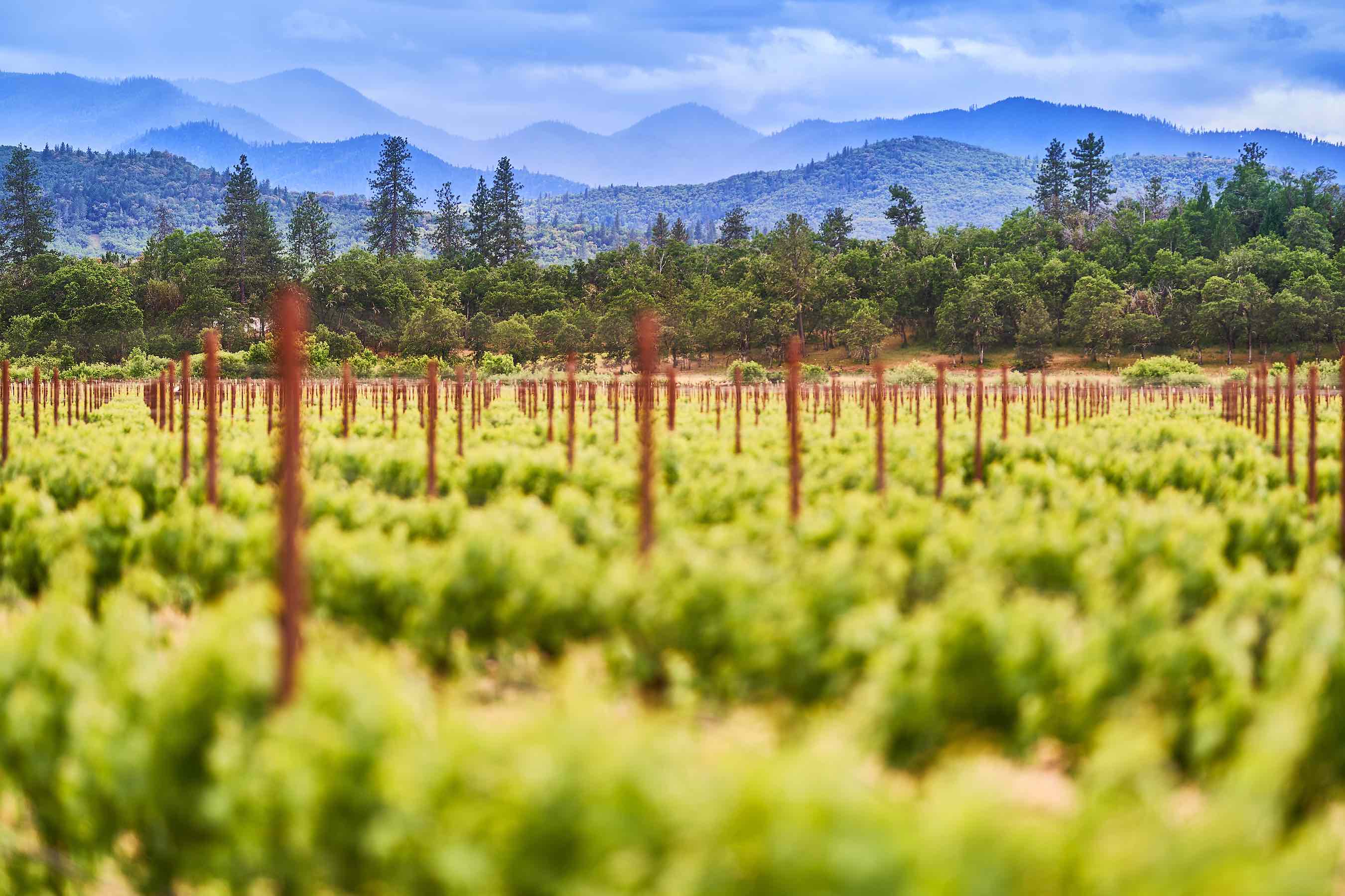 Blog Rogue Valley Wine Country