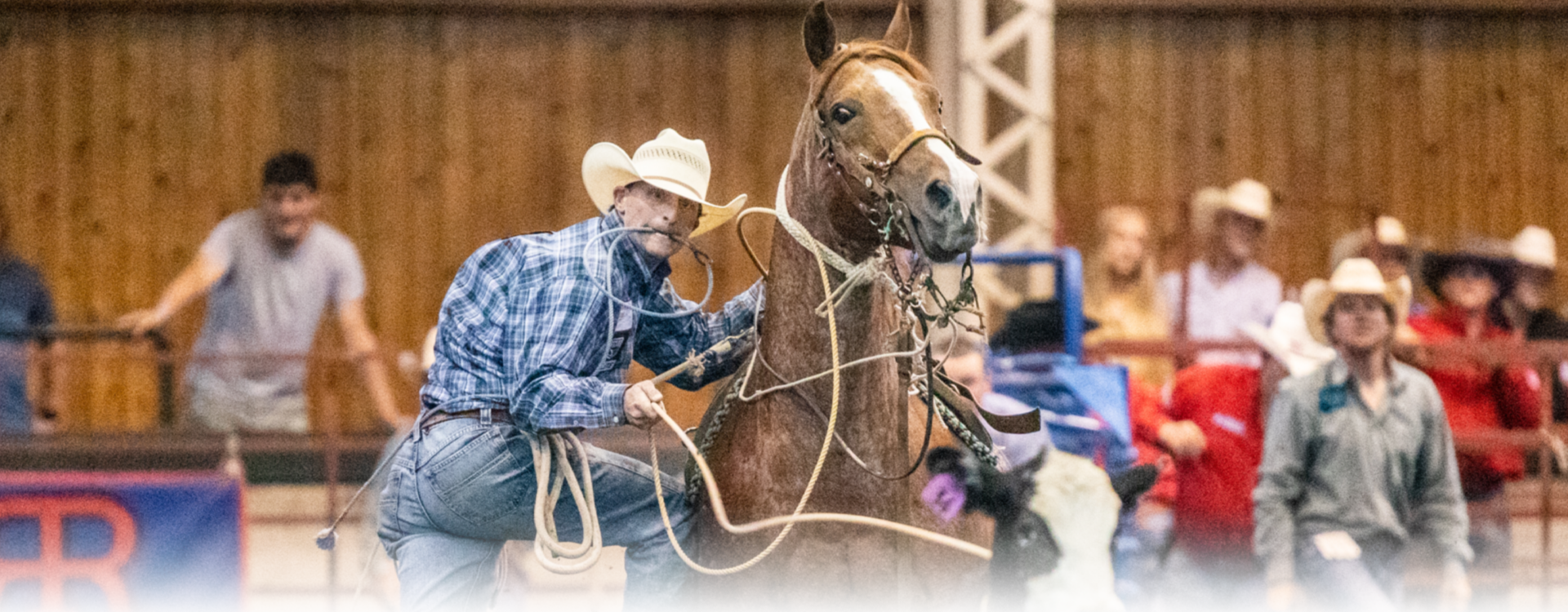 Rogue Rodeo Productions, Albia, IA Iowa rodeo company for amateur