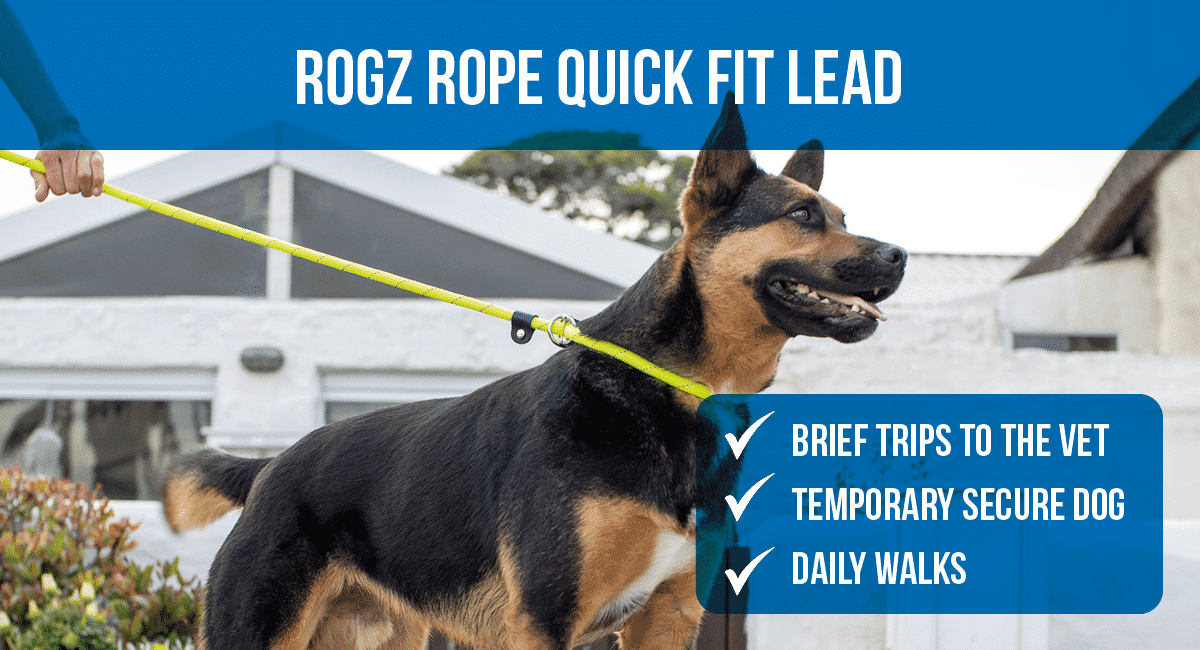 How to choose the best type of dog lead Rogz