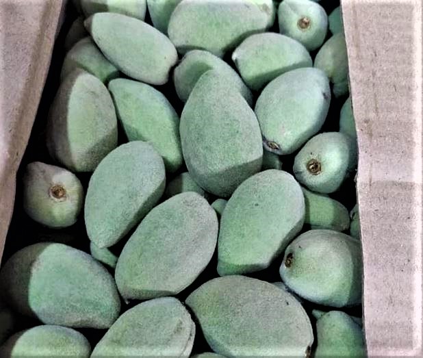 Summer time local fruits to eat in Shimla Rohal's Diary