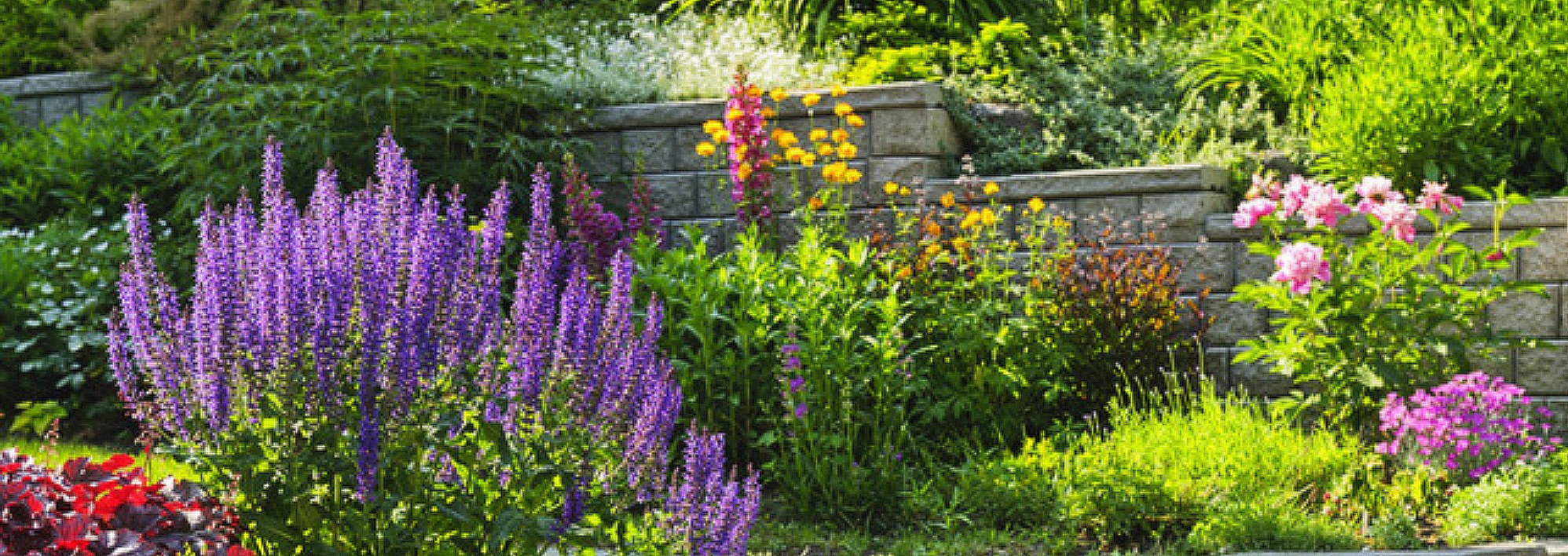 Rohsler's Allendale Nursery Garden Landscape Lifestyle