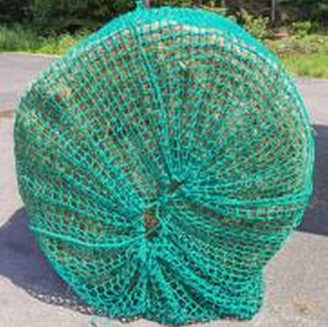 Pyöröpaaliverkko 150X150cm, Spirit Vain 99,00 € Rohtola