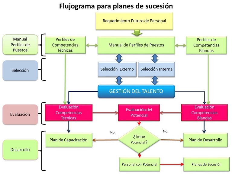 ROI Gestión de Capital Humano por Competencias > Plan de sucesión y