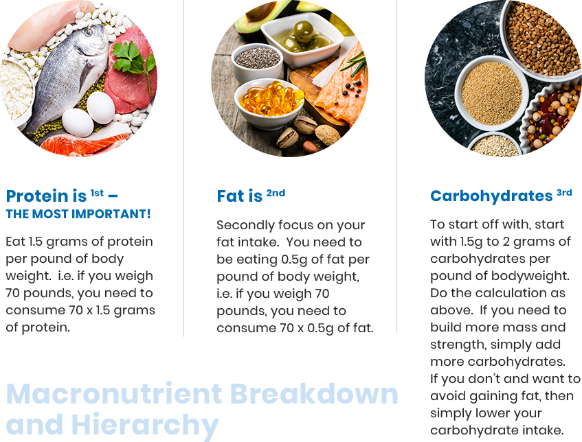 How to Optimize Bodybuilding Nutrition in 2019 Roidvisor Your