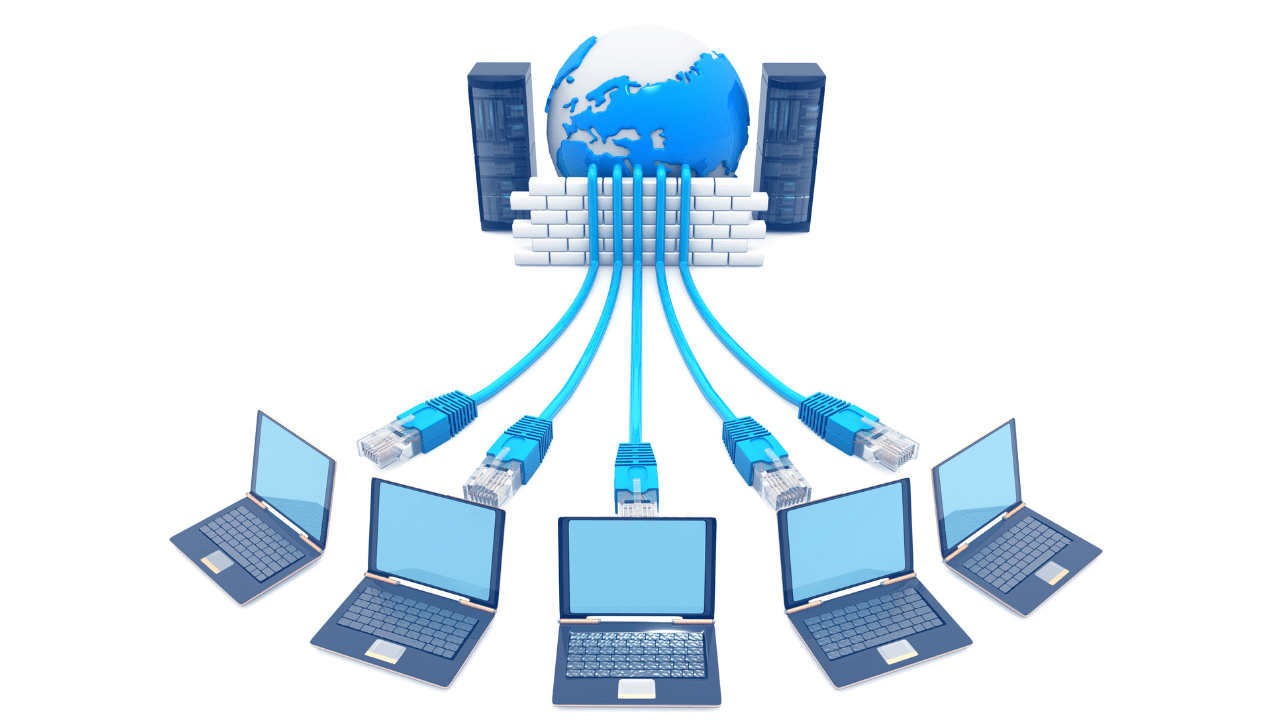 Rojan IT Services, Access, Business