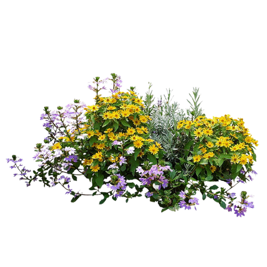 Paper Flower Rokn Alashjar