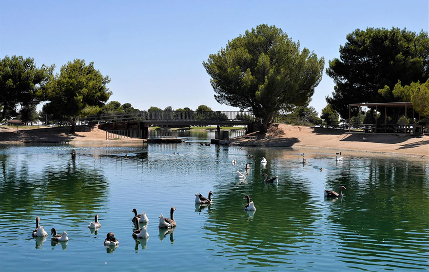 Things To Do Roland Properties