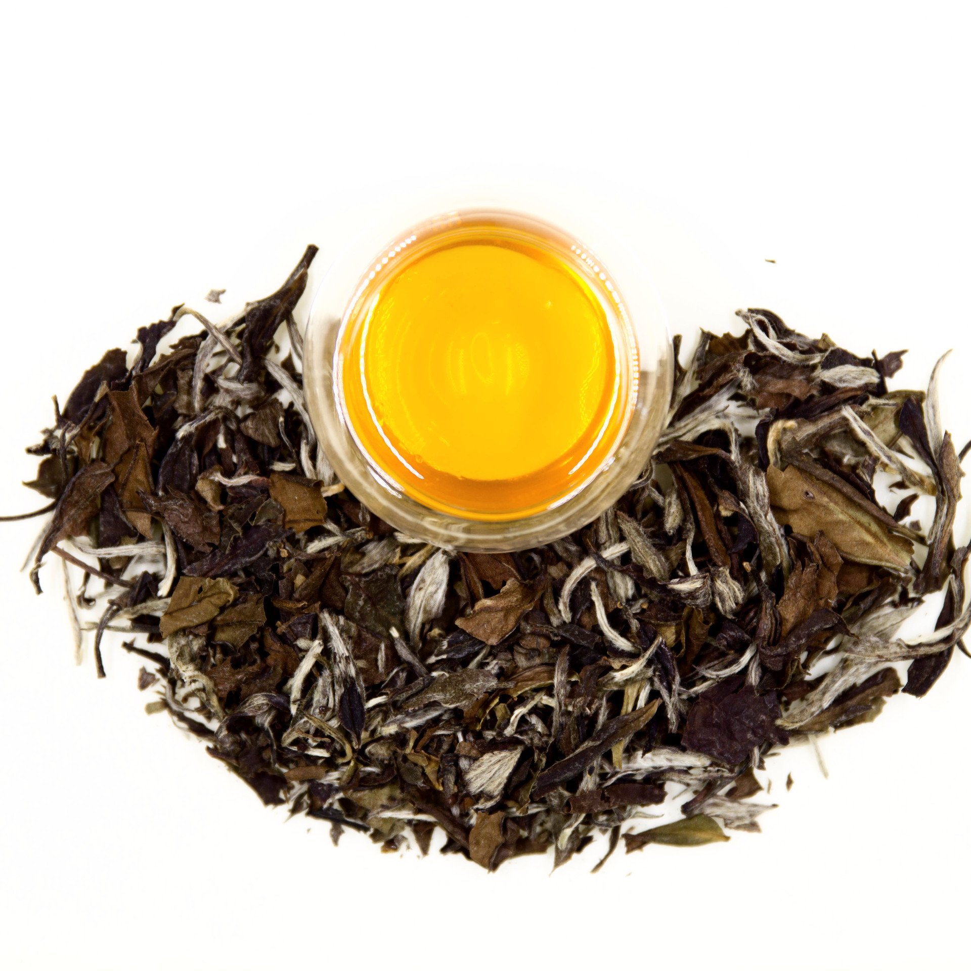 Bai Mudan Roleaf Tea Online Shop Your Best Tea Brand in Malaysia