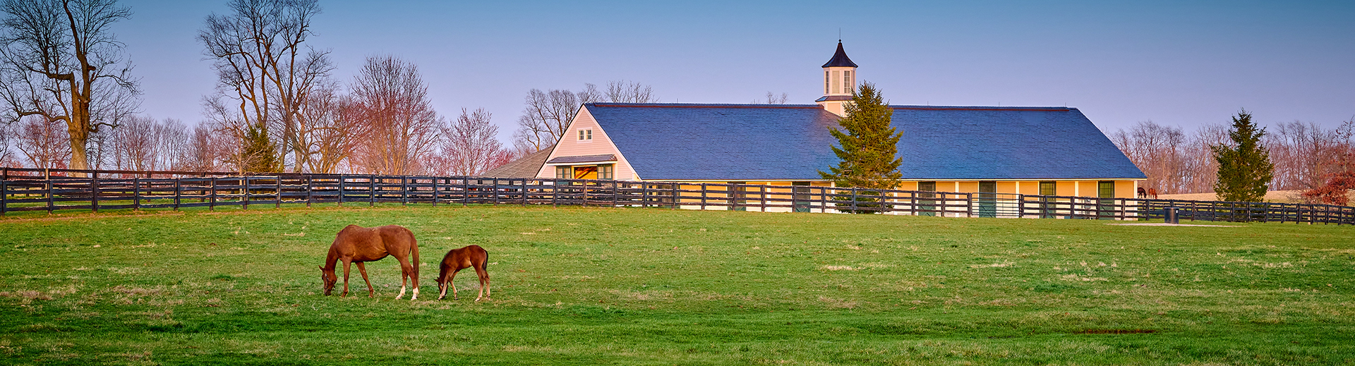 Lexington, KY Attorneys Rolfes Henry Law Firm