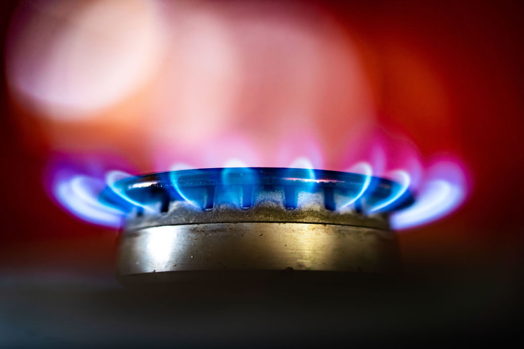 After backlash, safety commission says gas stove ban unlikely Roll Call