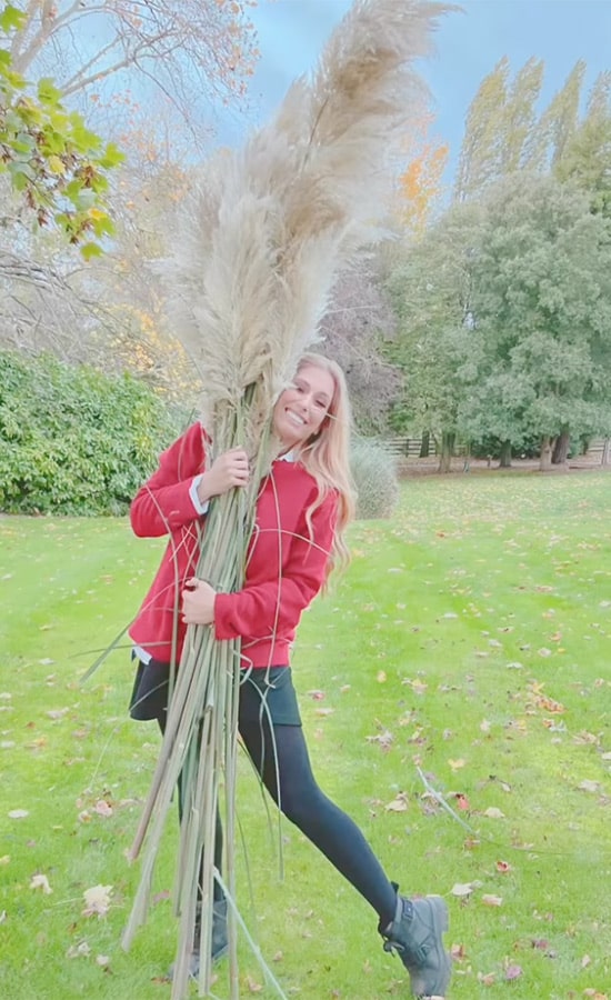 Stacey Solomon Creates Unique Pampas Grass Christmas Tree