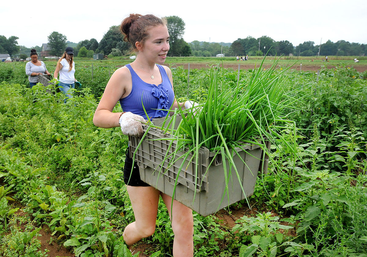 Rolling Harvest Food Rescue gleans farm fields to help needy Rolling