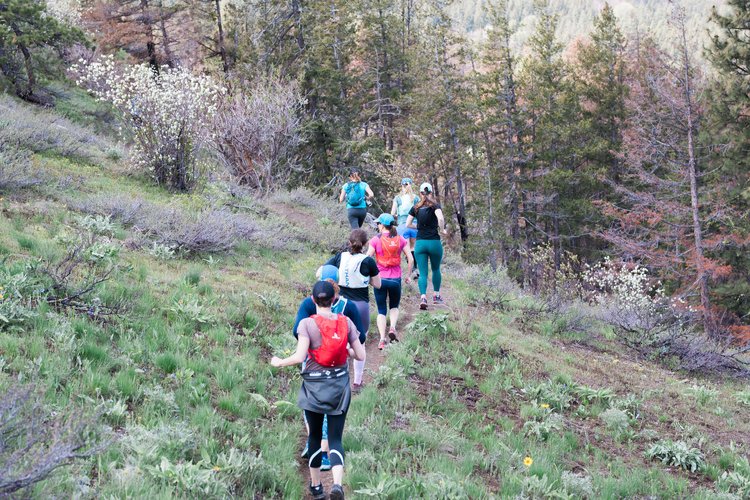 Events In Mt Sept 21 2023 Events Rolling Huts