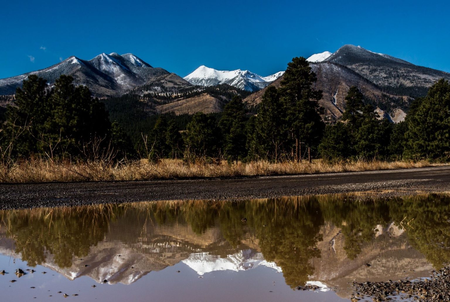 Exploring the Real Estate Landscape of Coconino County, Arizona