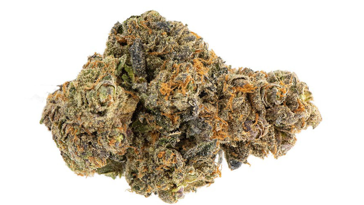 Oreoz Weed Strain Information & Review