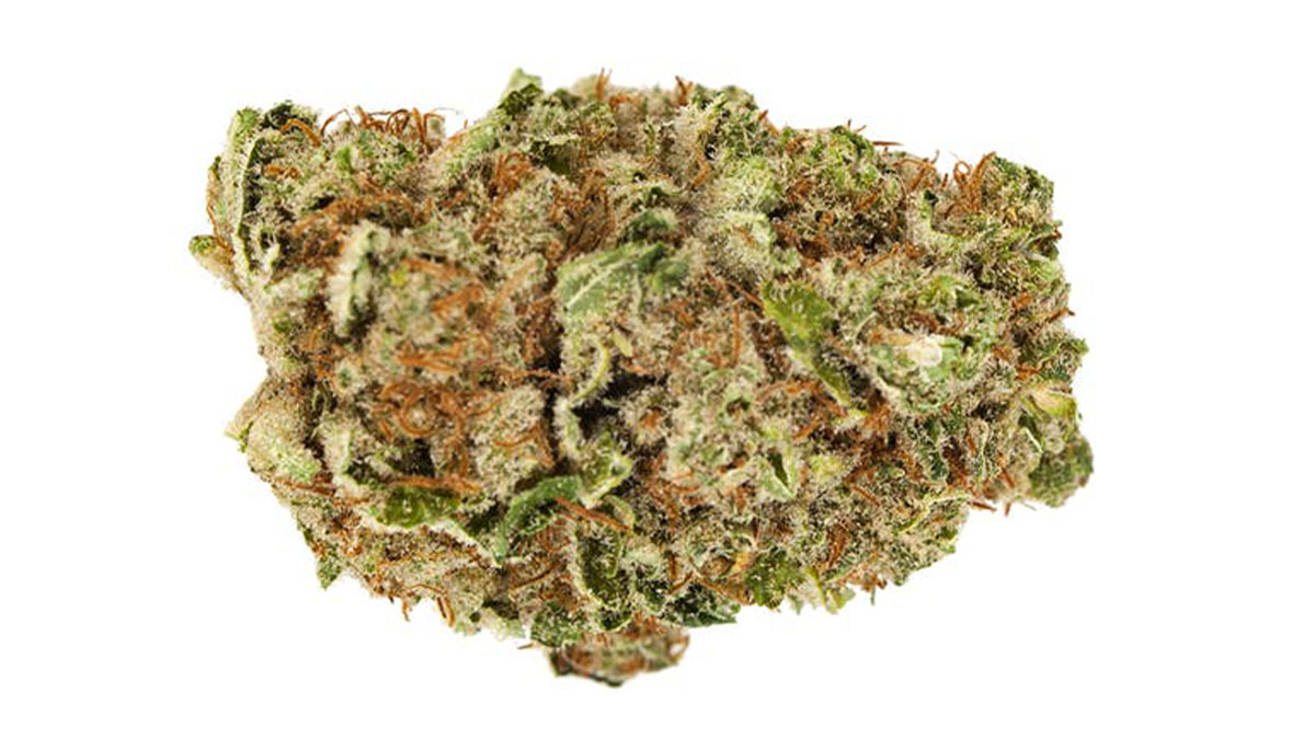 Venom OG Marijuana Strain Information & Review