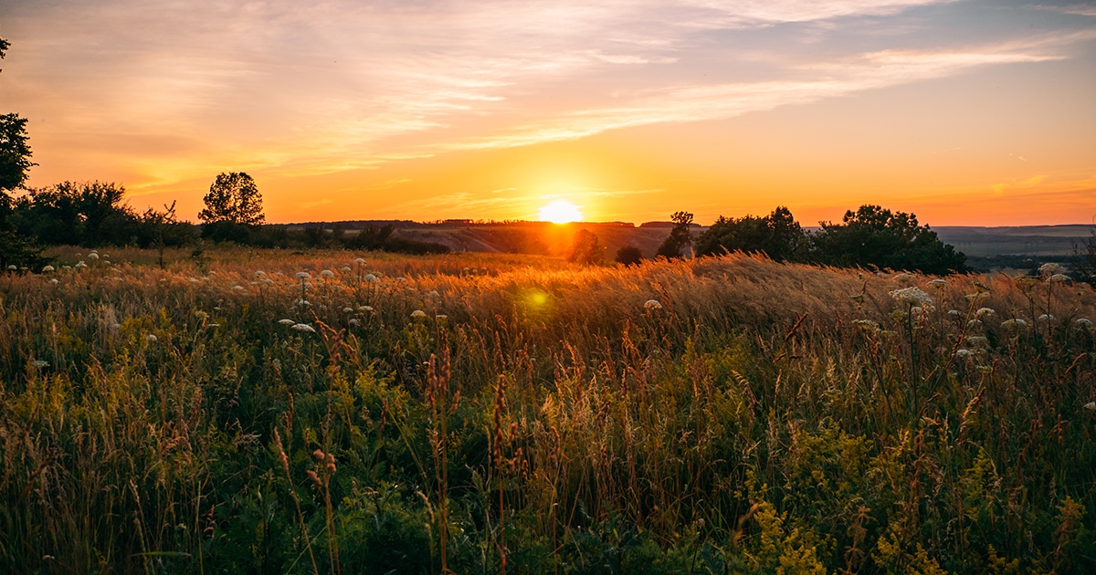 Lots For Sale In Portage Rolling Prairie WI