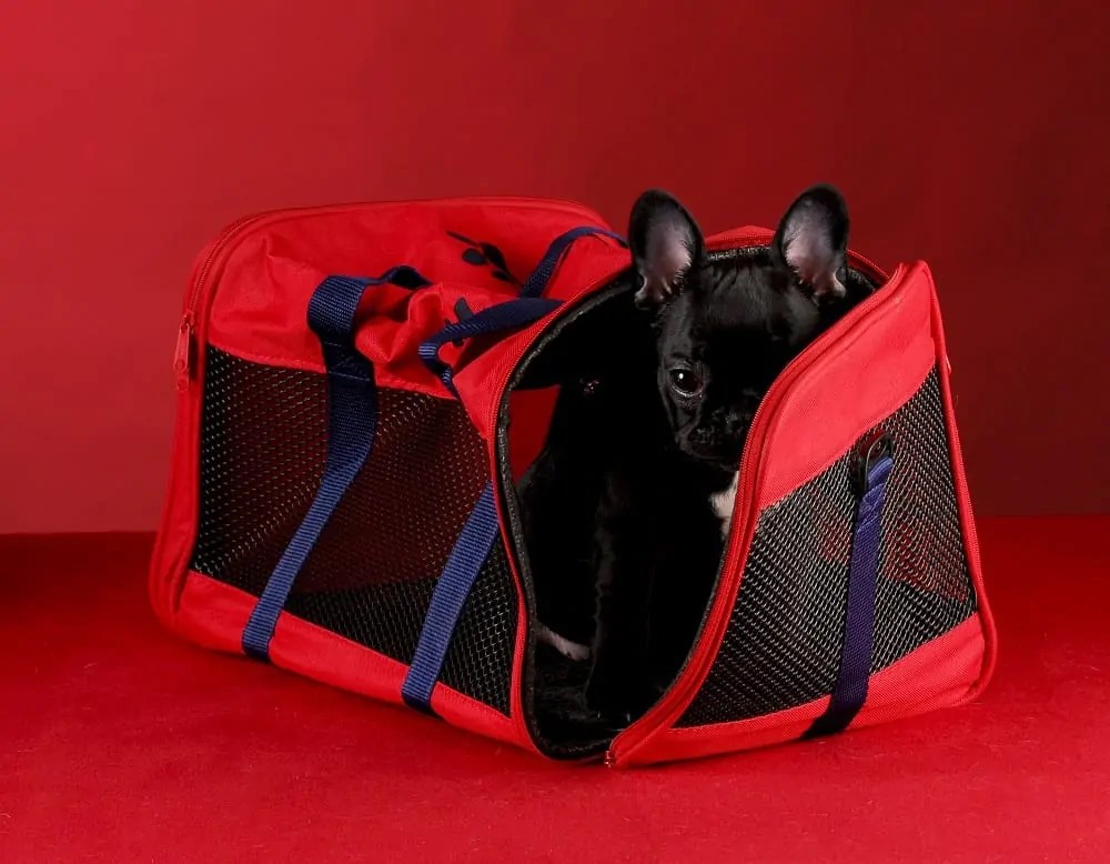 Best Soft Dog Crates for All Breeds 2021 BUYER'S GUIDE!