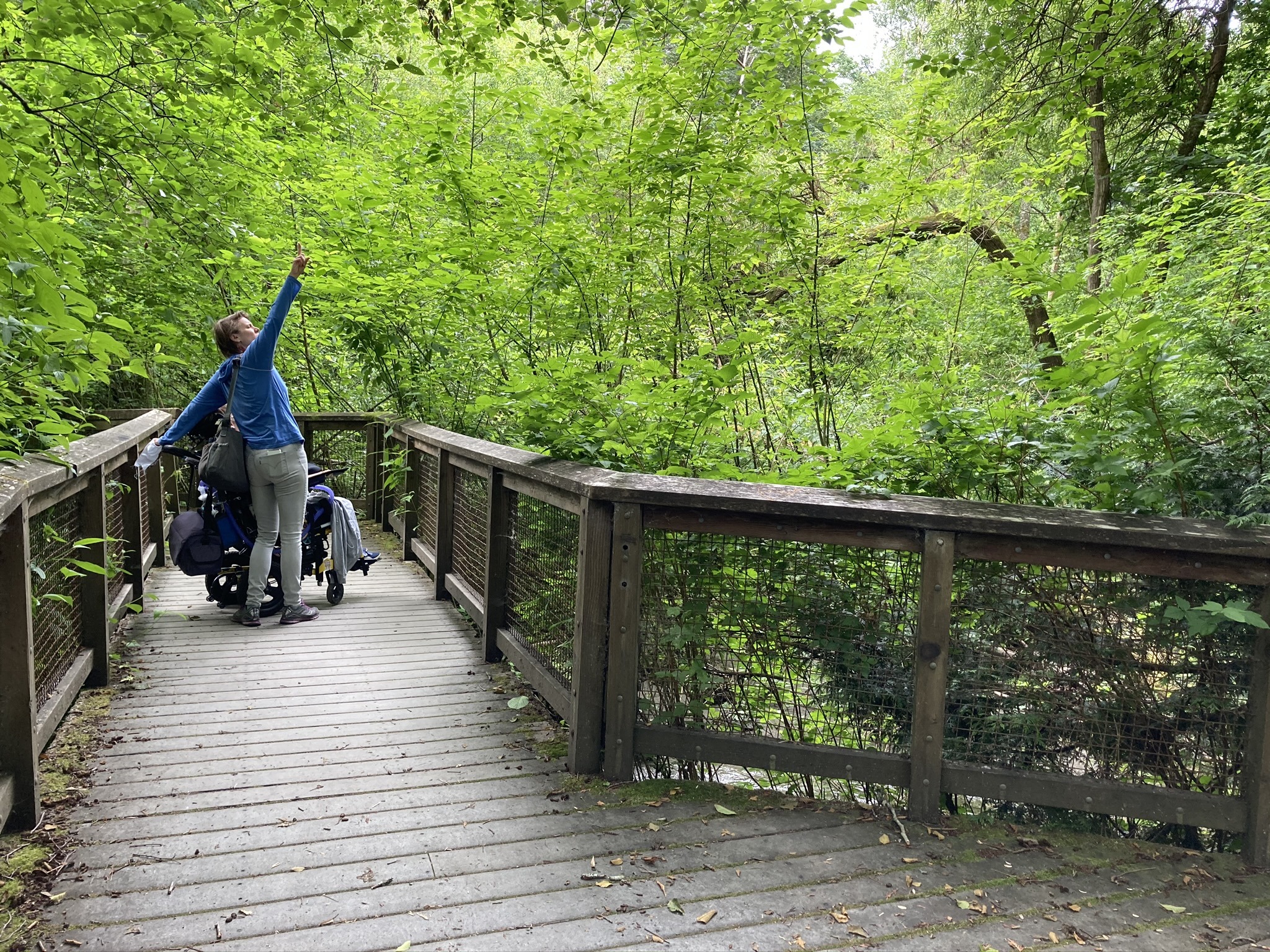 Piper's Creek Trail (Carkeek Park) Rolling Washington