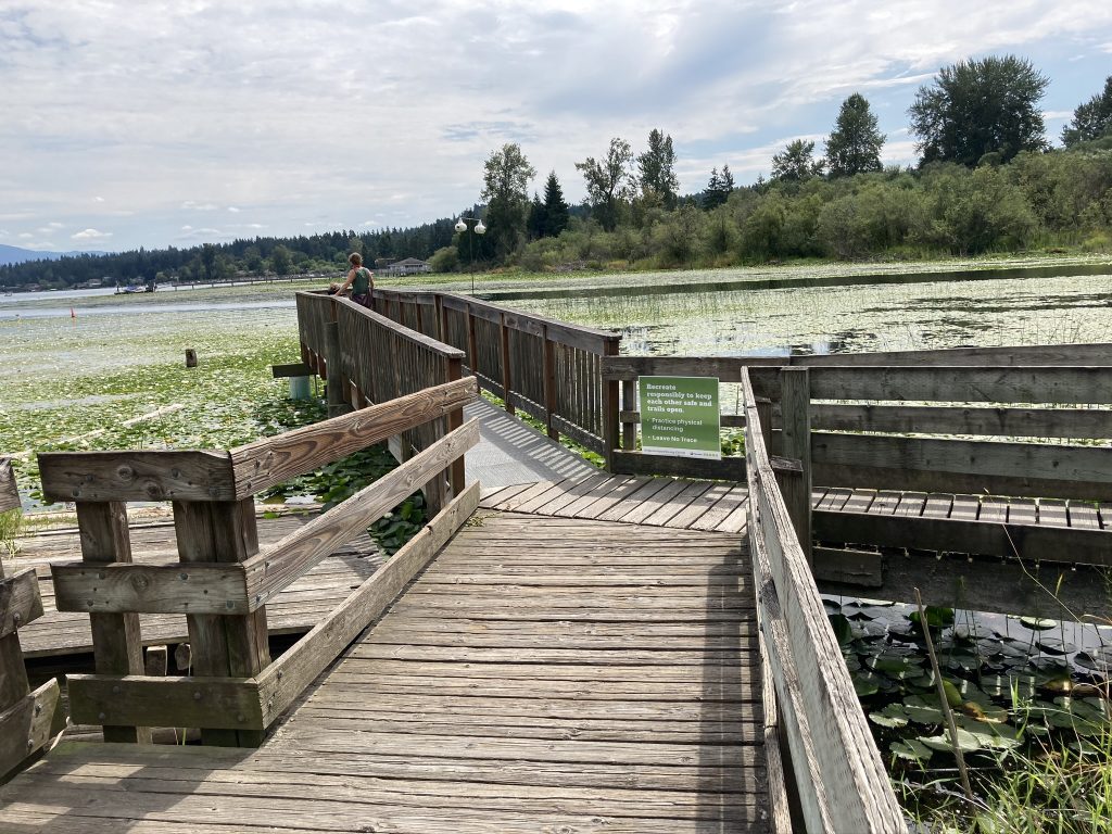 Heron Loop Trail (Marymoor Park) Rolling Washington