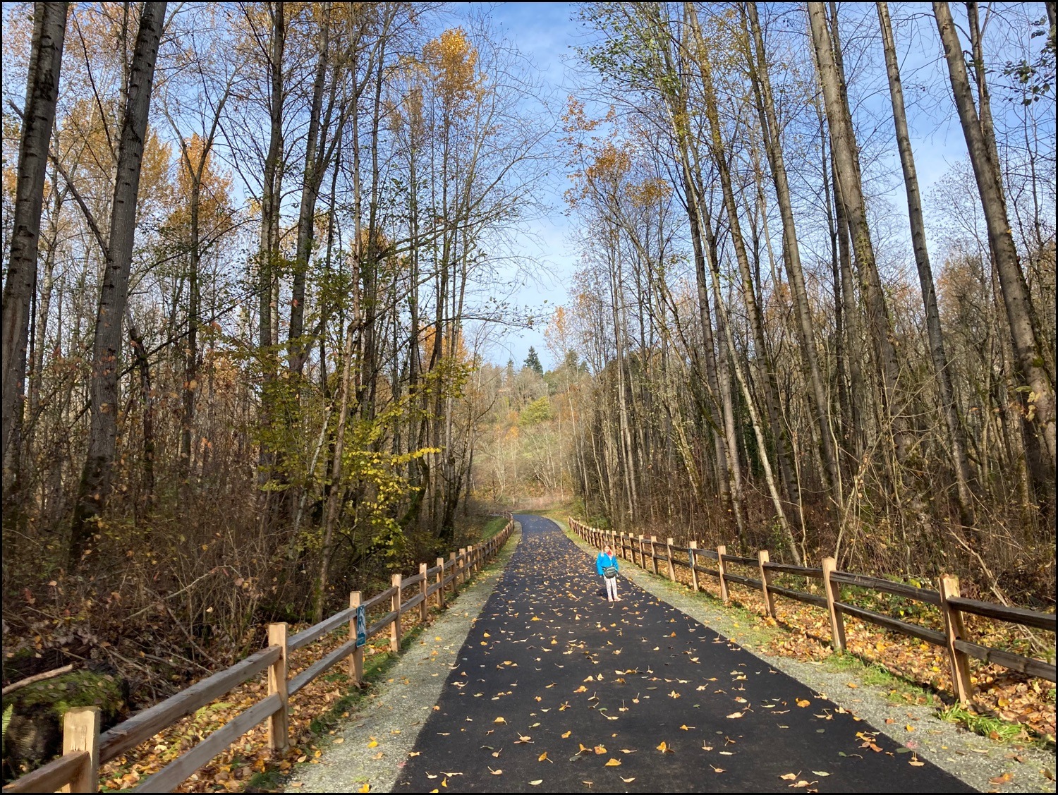 Black River Riparian Forest (Interurban Trail) Rolling Washington