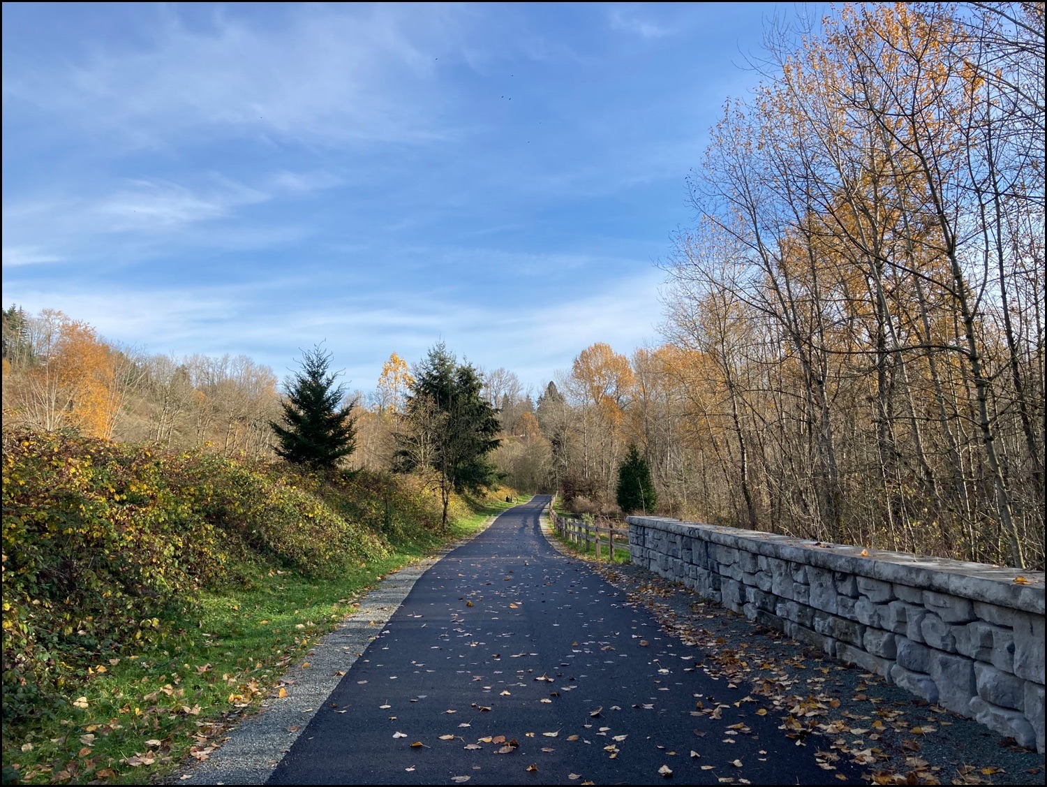 Black River Riparian Forest (Interurban Trail) Rolling Washington