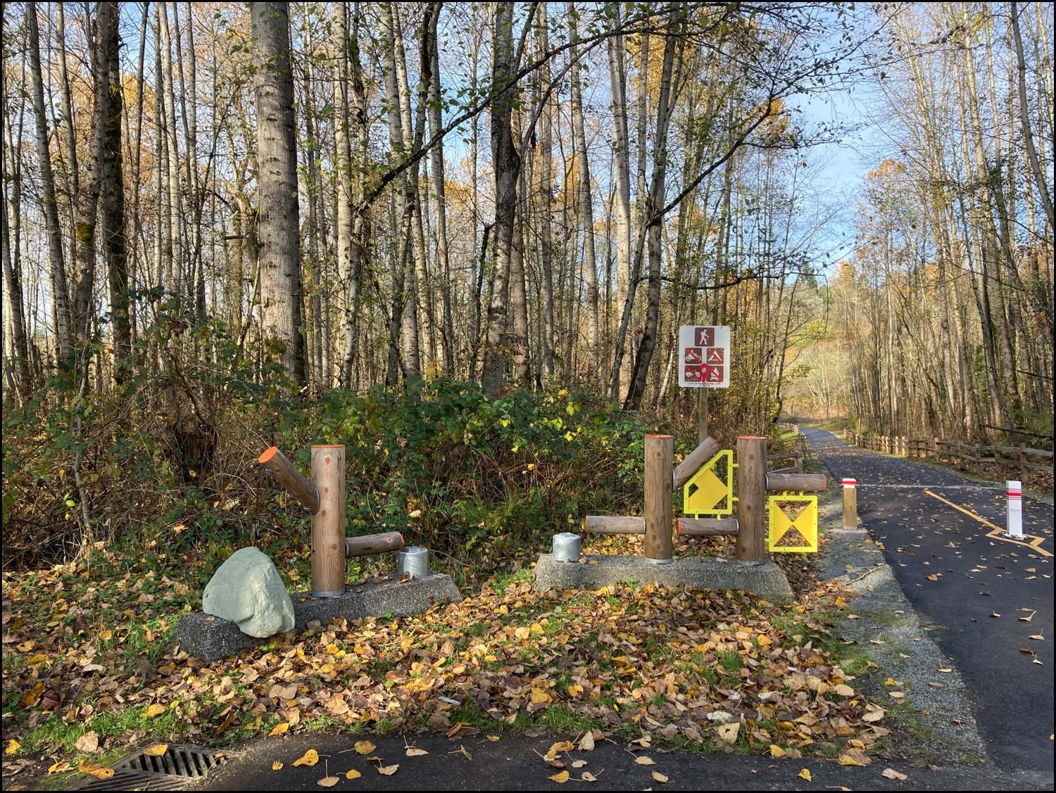 Black River Riparian Forest (Interurban Trail) Rolling Washington