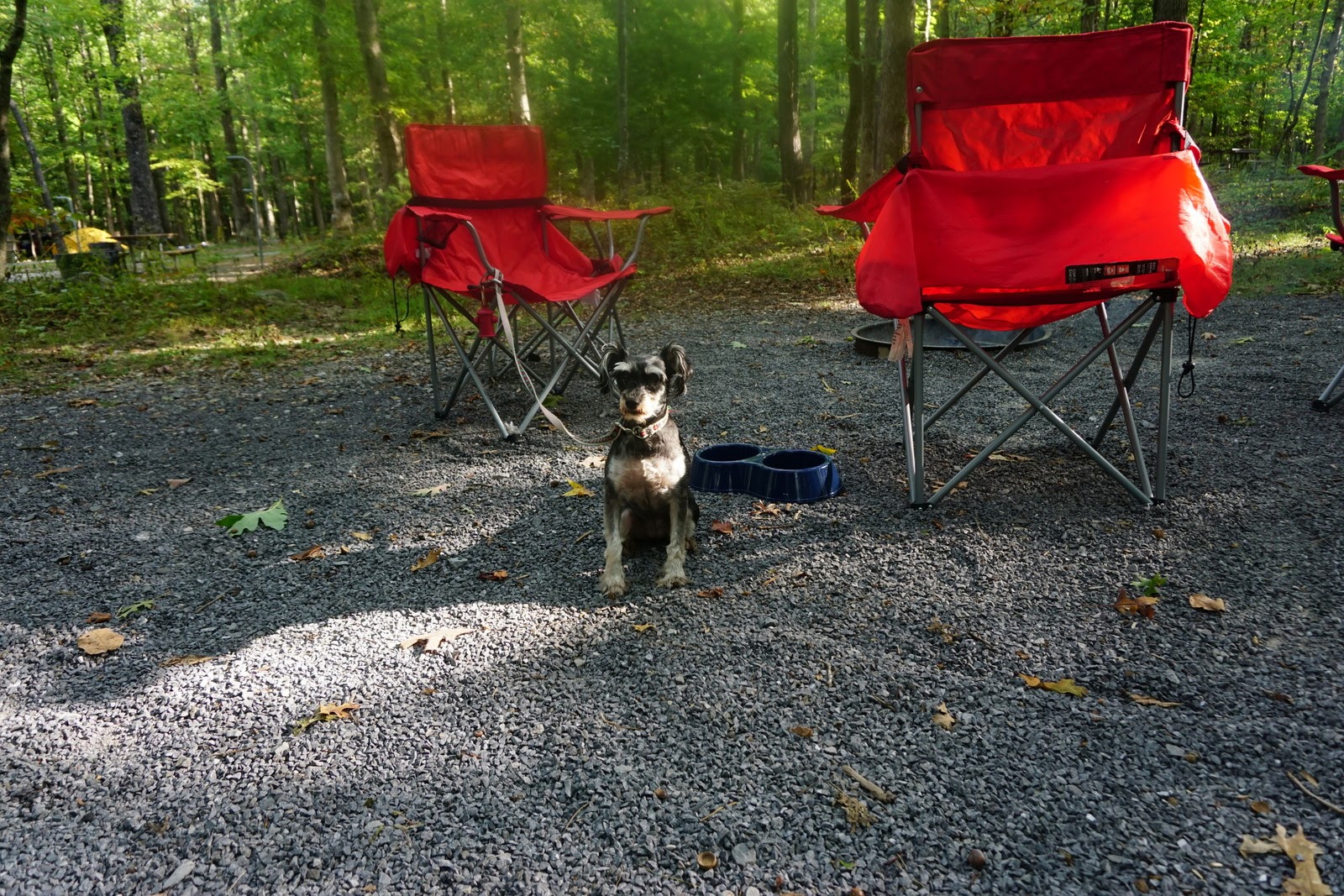 Camping in a National Park with No Electricity aka Off Grid Rolling