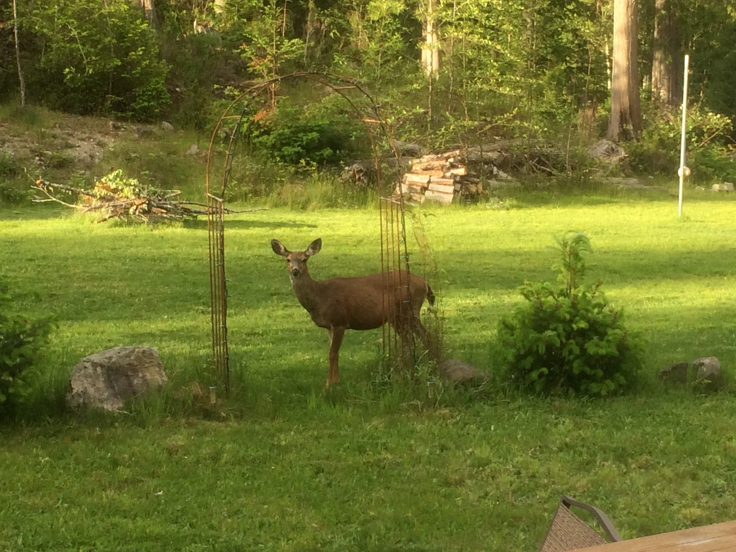 Timberline RV Park Rollover Vacations