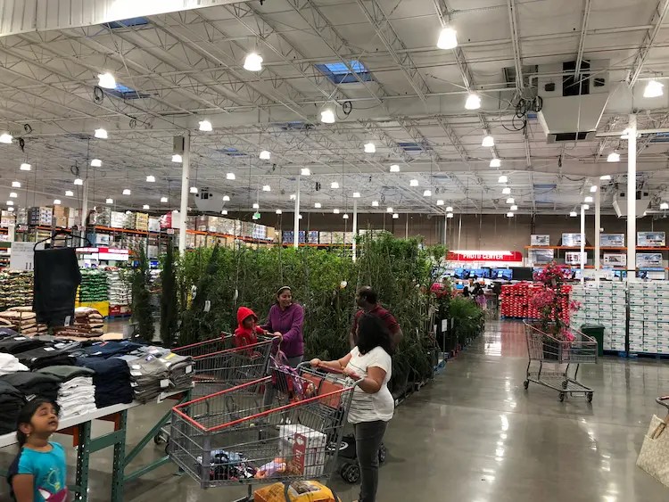 Does Costco Have Handicap Carts Let's find out!