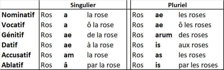 Leçon numéro 2 les déclinaisons Roma Latina