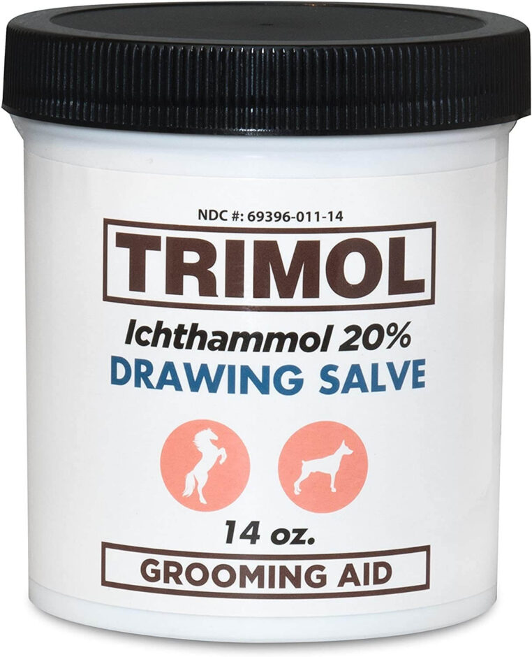 15 Best Drawing Salves Of 2024 Reviewed and Rated