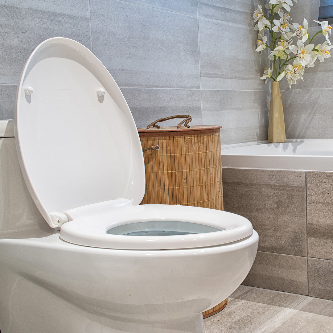 4 Common Toilet Problems and How to Fix Them Roman Electric