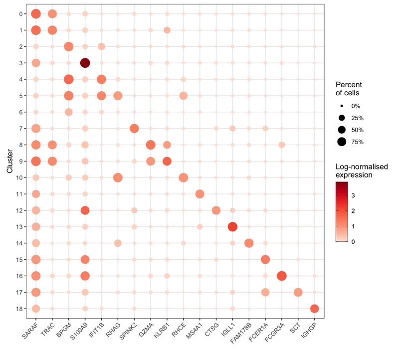 Roman Hillje Data Visualization & Bioinformatics