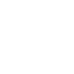LXV Roman Numerals - LXV in Numbers & Meaning