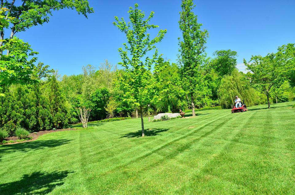 Giardinaggio Roma manutenzione giardini per tutte le tue esigenze