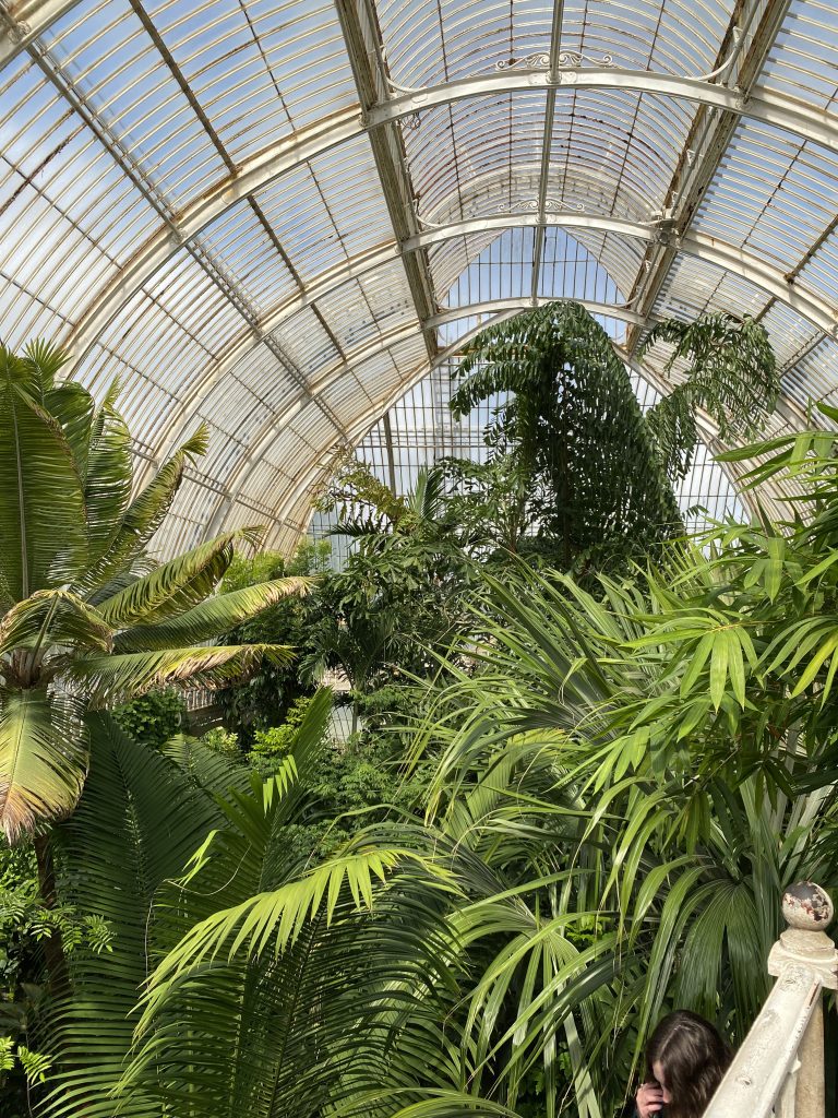 Visita ai Kew Gardens di Londra, i giardini e le serre da non perdere