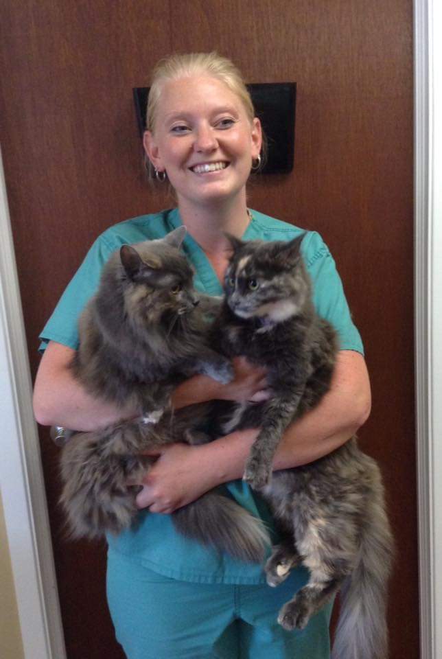 Veterinary Team Romeo Pet Hospital Vet in Stratford