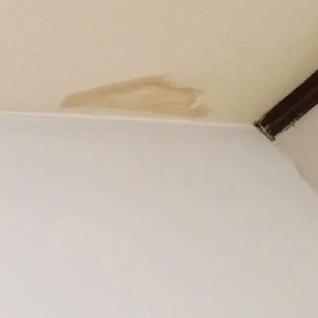 Roof leaks stopped. Now what? Happy Homeowners.