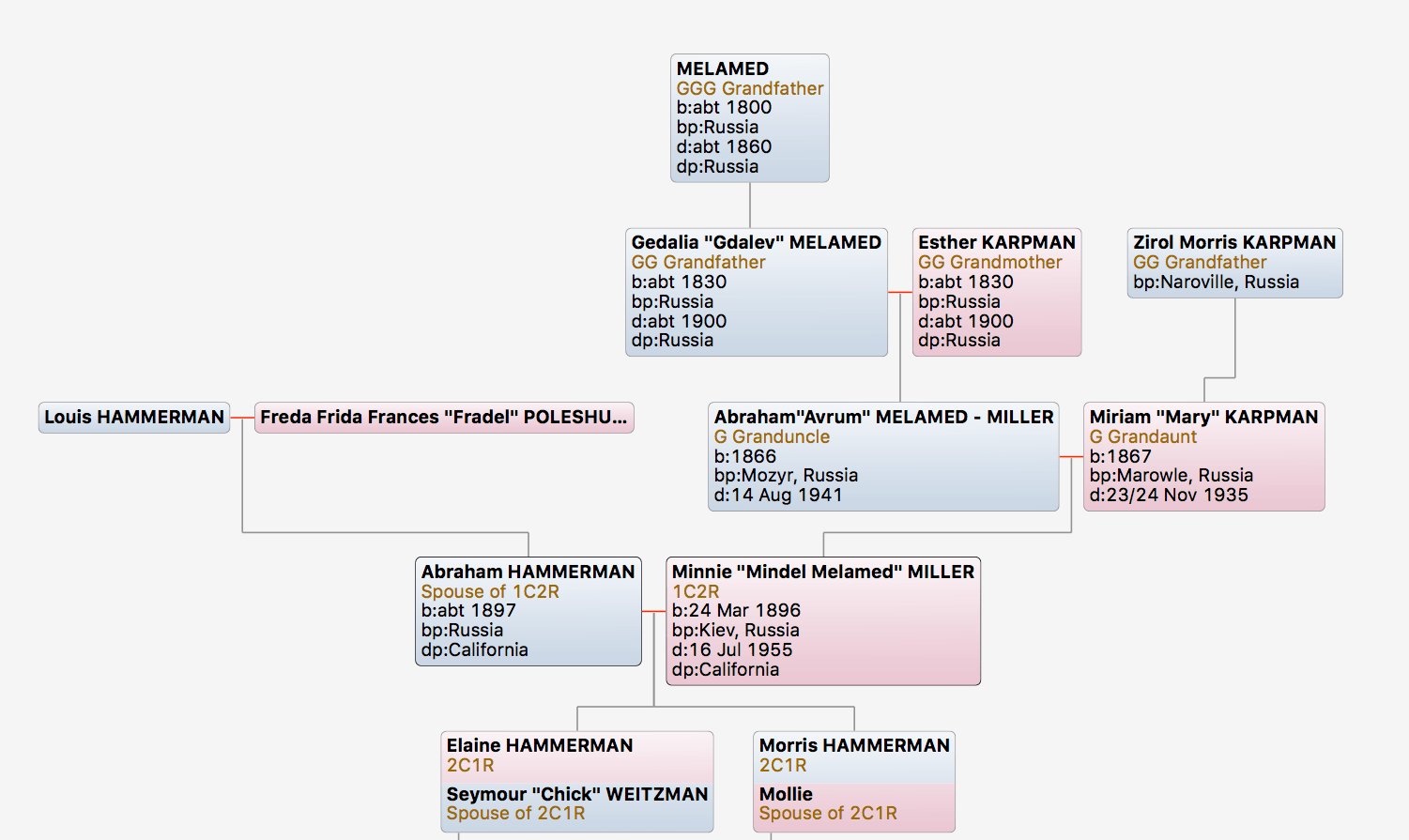 HAMMERMAN FAMILY Melamed Family History