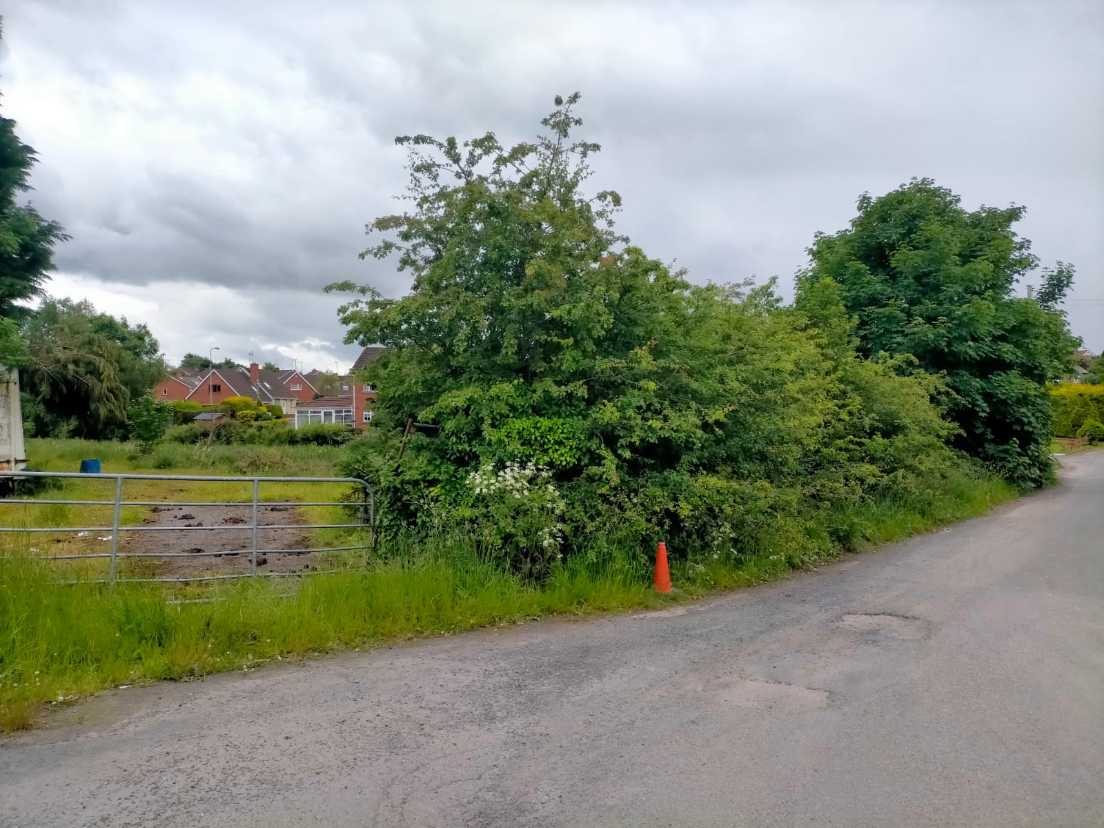 Circular Road, Omagh, Co Tyrone Ronan McAnenny Ltd Residential and