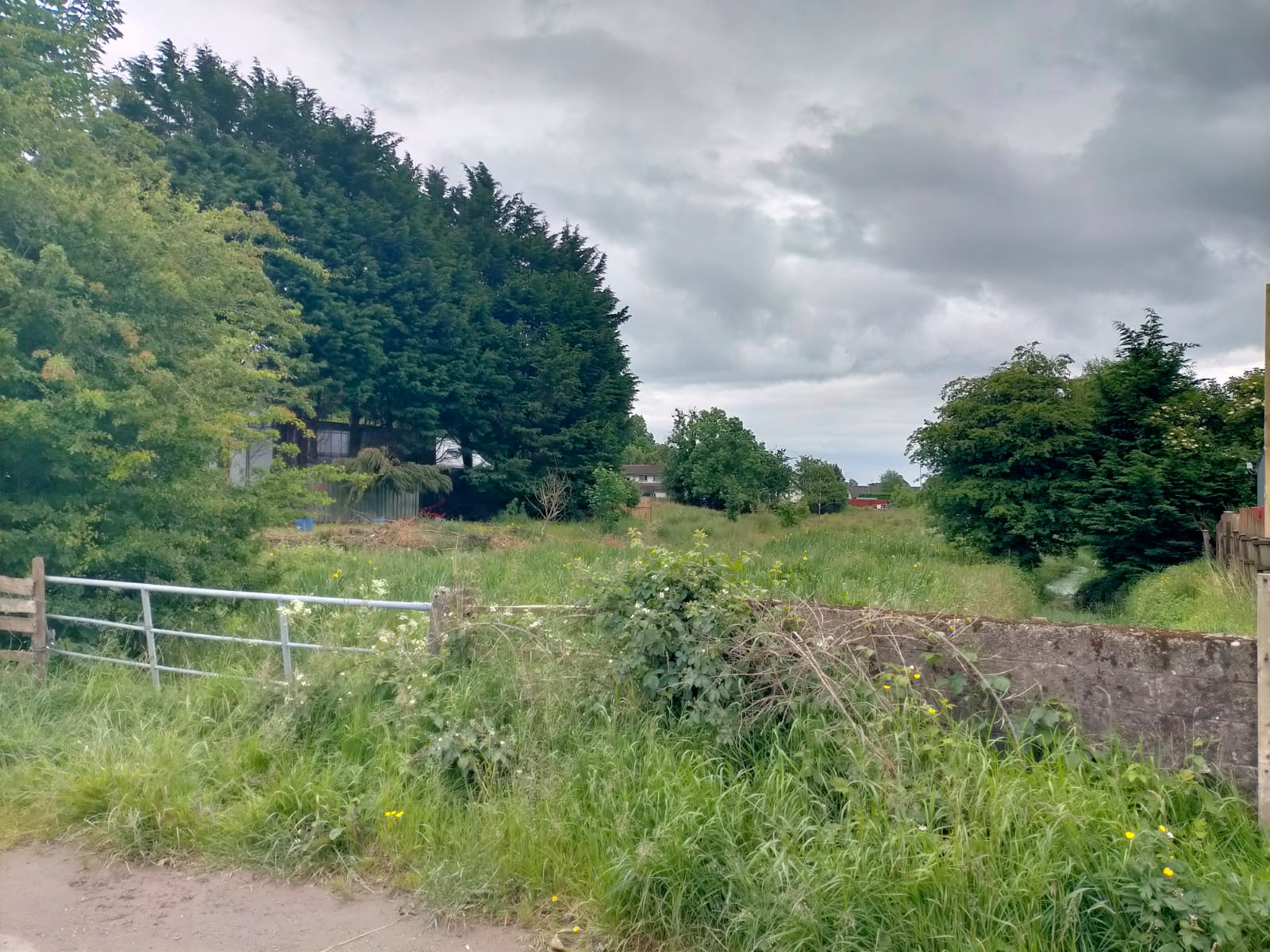 Circular Road, Omagh, Co Tyrone Ronan McAnenny Ltd Residential and