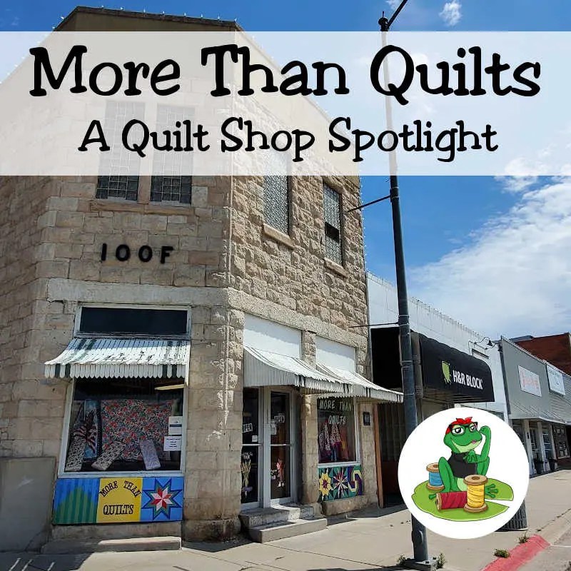 More Than Quilts A Quilt Shop Spotlight Rona the Ribbiter