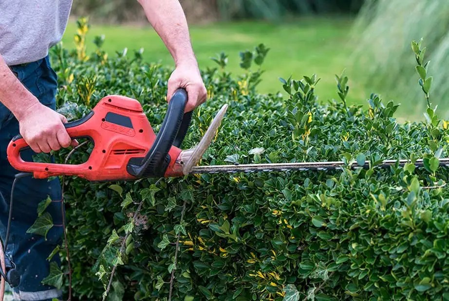 The Best Power Tools An Ultimate Guide for All Professions